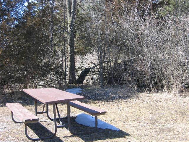 A view of one historic dry stone wall at Ferris park